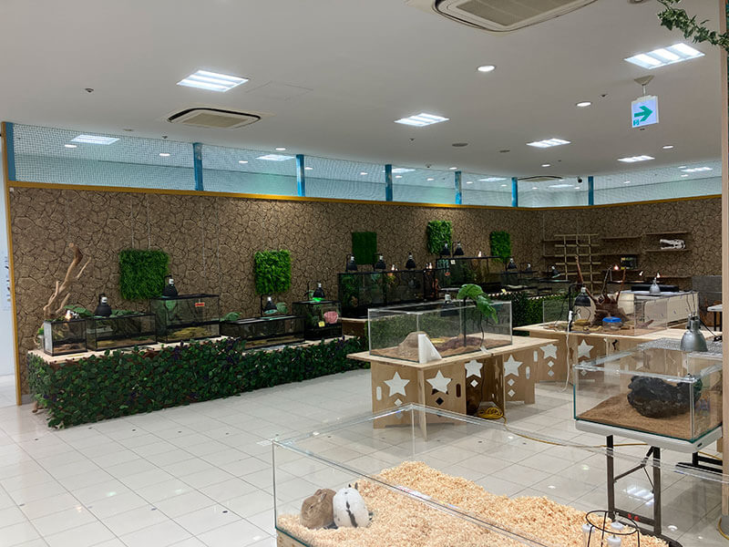 いきものふれあい学校 | ショップ | アルパーク